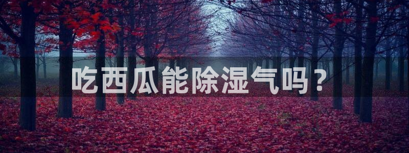51吃瓜今日吃瓜莫里秀：吃西瓜能除湿气吗？