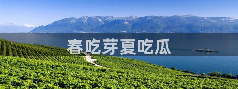 板栗瓜怎样做最好吃