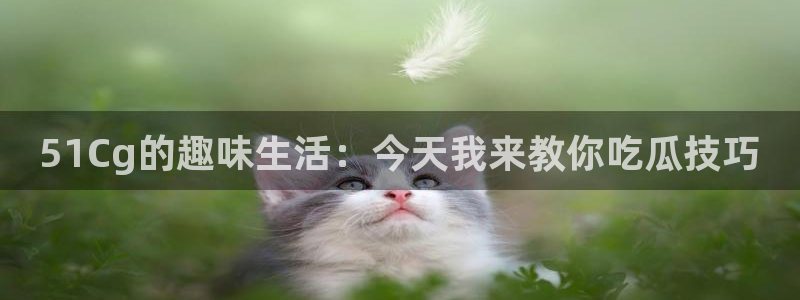 yourport吃瓜网：51Cg的趣味生活：今天我来教你吃瓜技巧