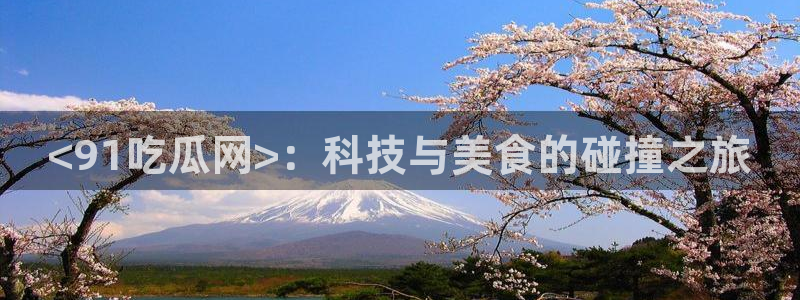 吃瓜小说：<91吃瓜网>：科技与美食的碰撞之旅