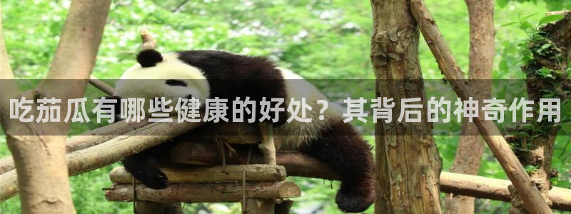 吃瓜网998.su永久有效：吃茄瓜有哪些健康的好处？其背后的神奇作用