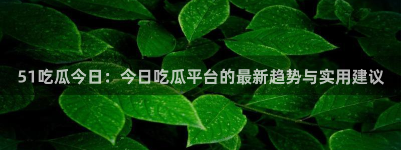 吃瓜的意思：51吃瓜今日：今日吃瓜平台的最新趋势与实用建议