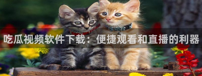 吃瓜最新：吃瓜视频软件下载：便捷观看和直播的利器