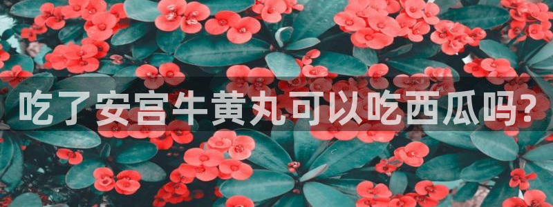 吃小瓜会长胖吗:吃了安宫牛黄丸可以吃西瓜吗?