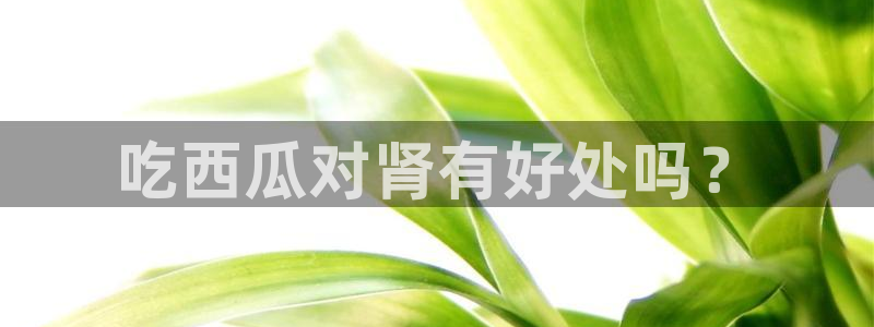黑料曝光：吃西瓜对肾有好处吗？