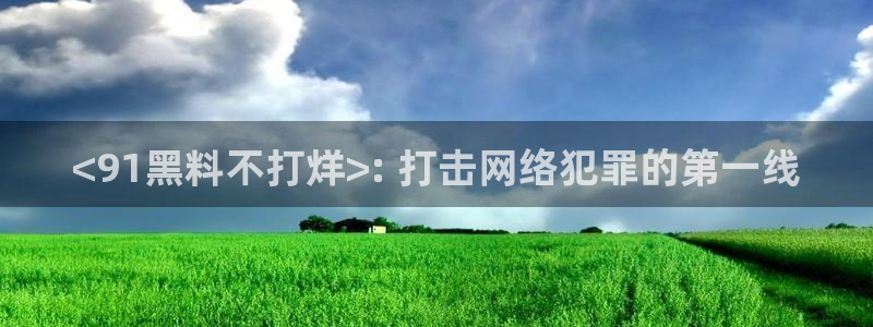 ccgg.ct今日吃瓜:<91黑料不打烊>: 打击网络犯罪的第一线