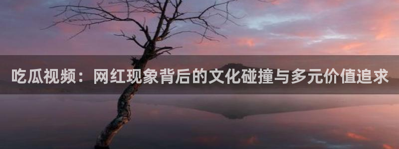 51吃瓜网 张津瑜:吃瓜视频:网红现象背后的文化碰撞与多元价值追求