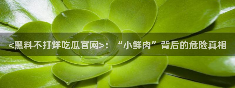 91吃瓜今日吃瓜入口:<黑料不打烊吃瓜官网>:“小鲜肉”背后的危险真相