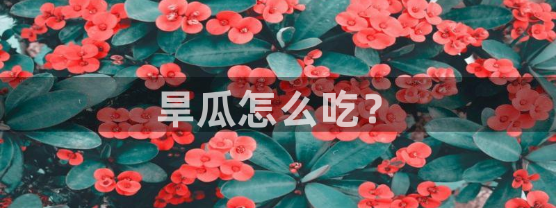 51cg1.ct吃瓜张津瑜:旱瓜怎么吃?