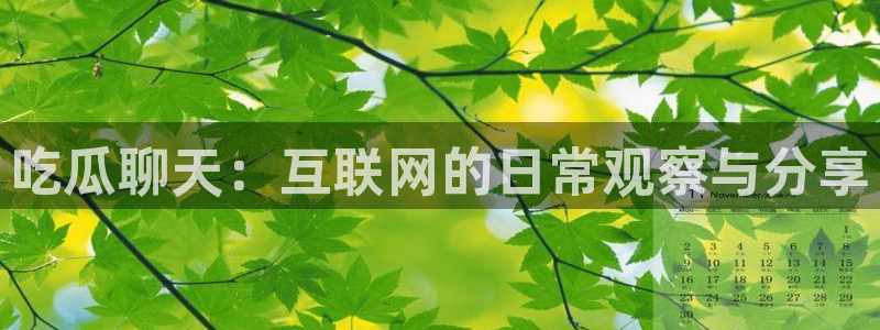 黑料软件:吃瓜聊天:互联网的日常观察与分享