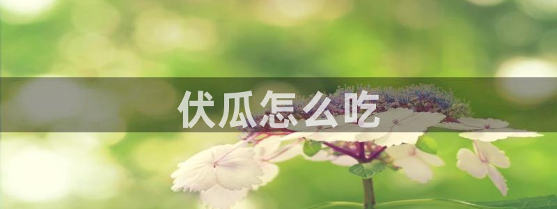 吃瓜网998.su永久有效：伏瓜怎么吃