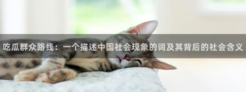 51cgfun吃瓜网 必看大瓜:吃瓜群众路线:一个描述中国社会现象的词及其背后的社会含义