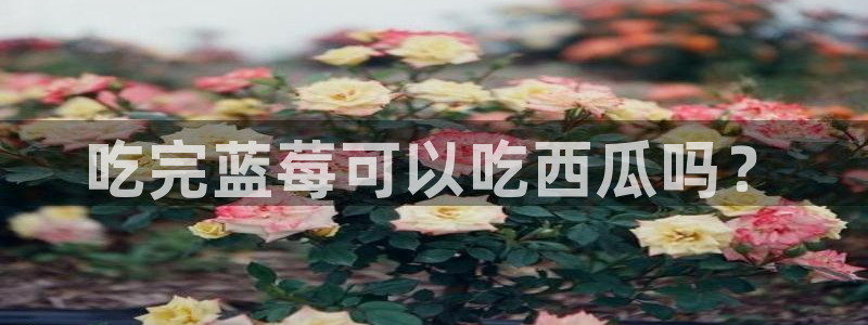 51cg1.ct吃瓜:吃完蓝莓可以吃西瓜吗?