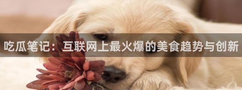 51吃瓜今日吃瓜在线：吃瓜笔记：互联网上最火爆的美食趋势与创新