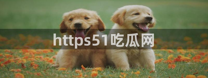 51热门大瓜今日吃瓜：https51吃瓜网