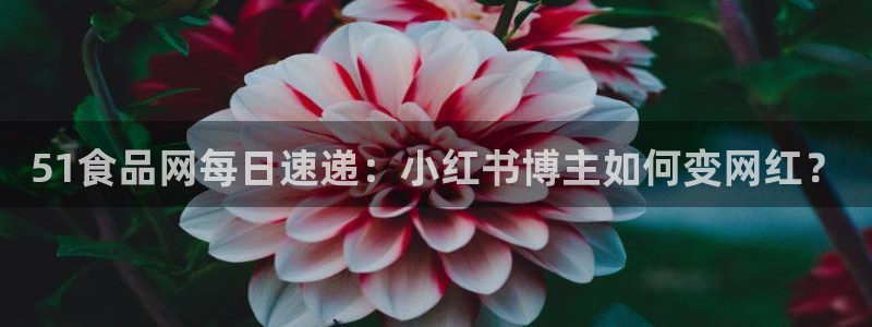 91cg.fun今日吃瓜