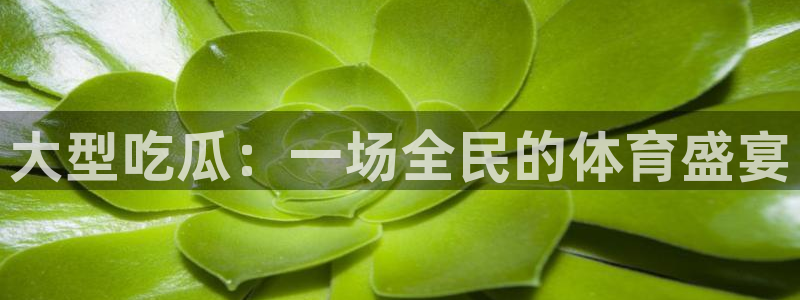 51吃瓜网今日吃瓜热门吃瓜：大型吃瓜：一场全民的体育盛宴