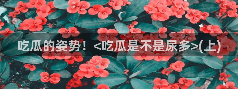 91吃瓜网今日吃瓜入口