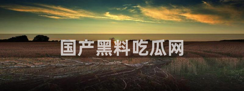 51.cgfun吃瓜:国产黑料吃瓜网