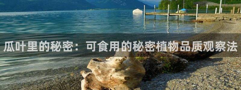 51今日吃瓜热门爆料:瓜叶里的秘密:可食用的秘密植物品质观察法