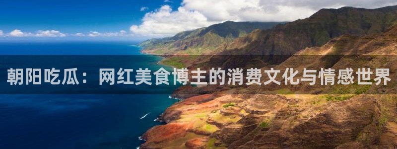 1吃瓜：朝阳吃瓜：网红美食博主的消费文化与情感世界