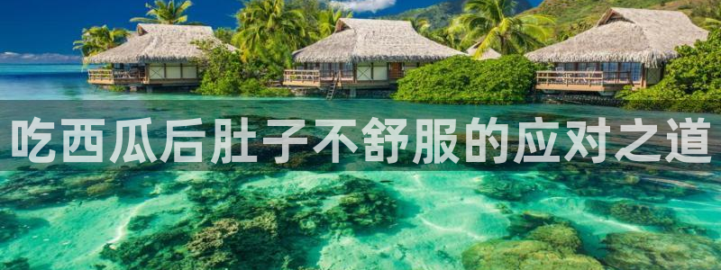 cggolive吃瓜网